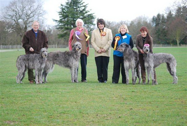 Horley & District Show Winners